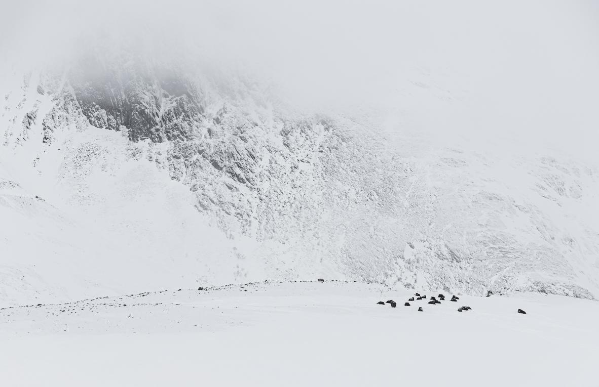 Ewa Przezdziecka, Ewa Przeździecka, Wildlife Photography