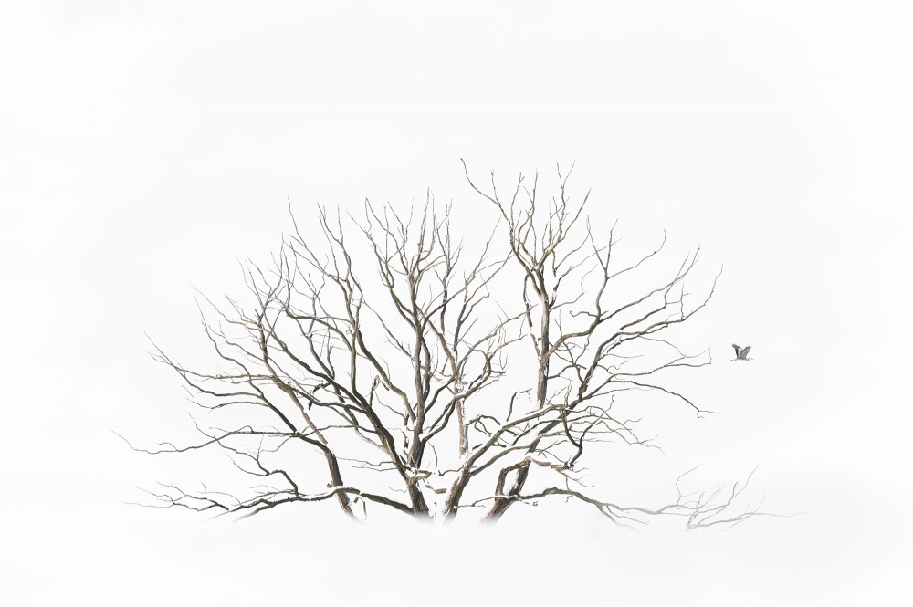 Ewa Przezdziecka, Ewa Przeździecka, Wildlife Photography